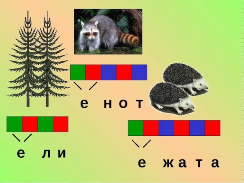 Ежик звуко. Схемы слов со звуком е. схемы слов с буквой е. звуковые схемы слов с буквой е. звуковой анализ слов с буквой е.