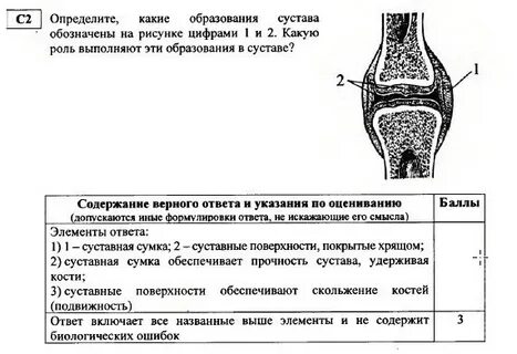 Определенный сустав