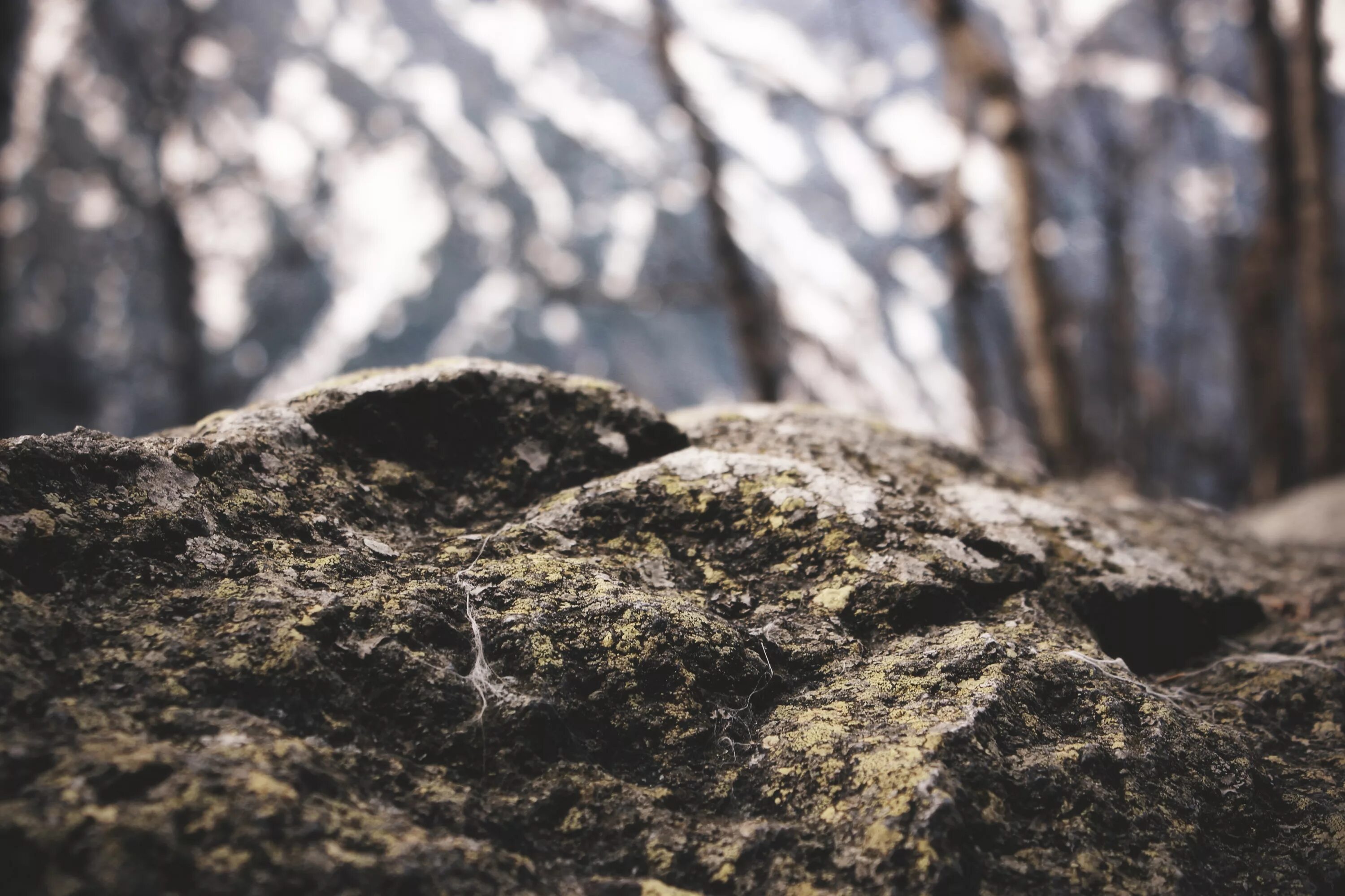 Be close to nature. Скалы макро. Камень макро. Камень Макросъемка. Rock камень.