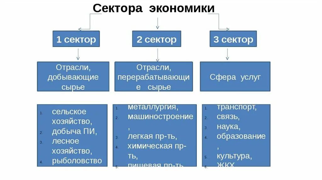 Одному или нескольким видам деятельности. Сектора экономики. Секторы хозяйства. Первичный вторичный третичный сектор экономики. Основные сектора экономики.