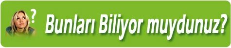 Bu org. Bu org