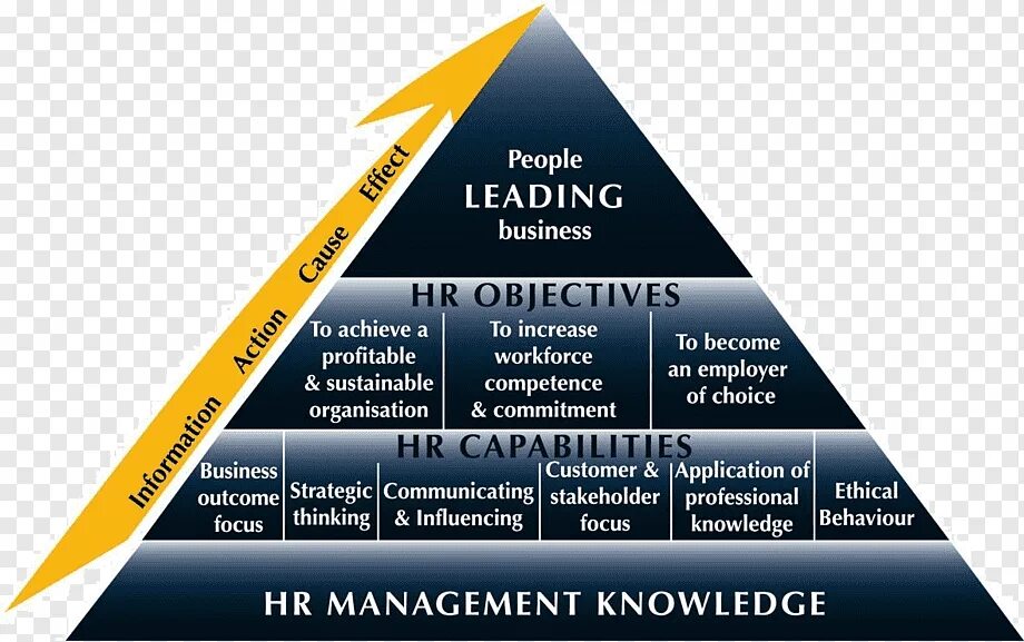 Хьюмен систем. HR управление персоналом. HR менеджмент. Human resources Management. Менеджмент управление персоналом.