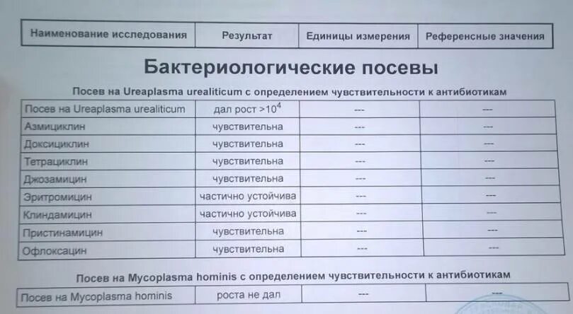 Бак посев на чувствительность к антибиотикам. Бак посев на чувствительность к антибиотикам расшифровка. Бак посев Результаты расшифровка. Результаты посева на микрофлору и чувствительность к антибиотикам.