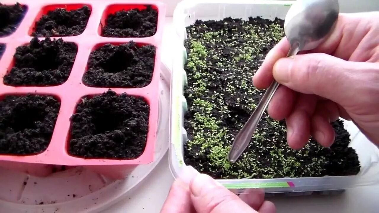 Какую землю посадить