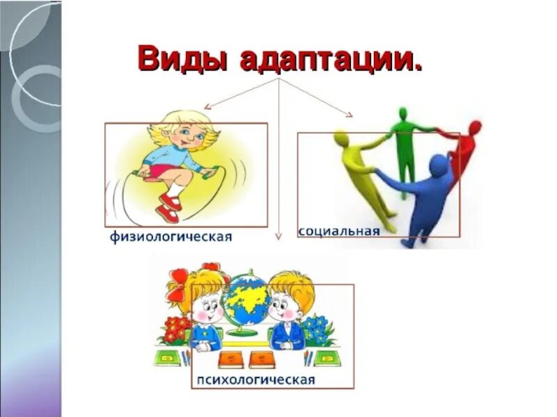 Адаптация 1 2 3 4 5