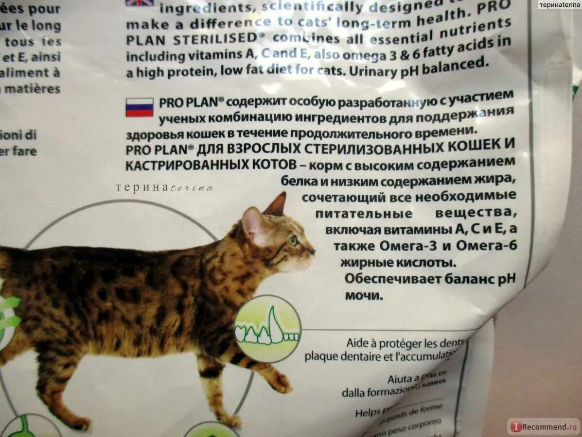 Чем кормить кастрированного кота в домашних условиях. Корм для стерилизованных кошек. Кошачьи корма для стерилизованных кошек. Корма для кота кастрированного. Корм для кошек с высоким содержанием жира.