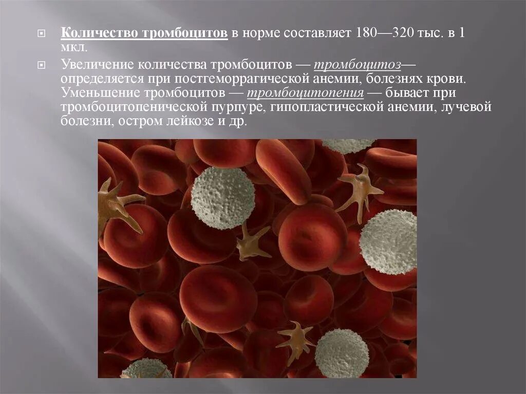 Повышенный уровень эритроцитов. Тромбоциты норма. Содержание тромбоцитов в крови. Увеличение количества тромбоцитов. Нормальное содержание тромбоцитов в крови.