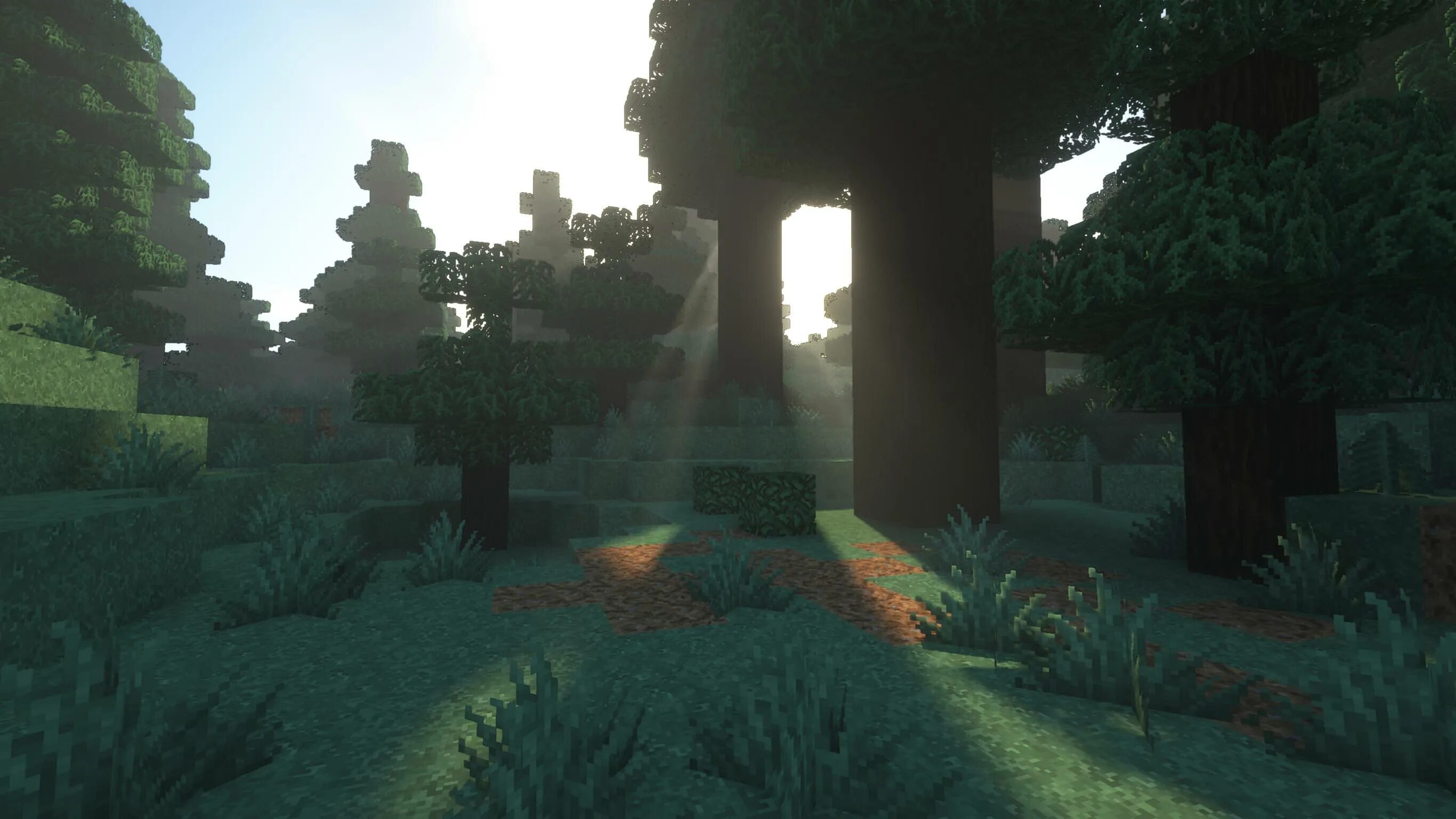 Graphic shaders. Seus шейдеры 1.12. Майнкрафт лес шейдеры. Майнкрафт лес с шейдерами. Майнкрафт 1.19 с шейдерами.