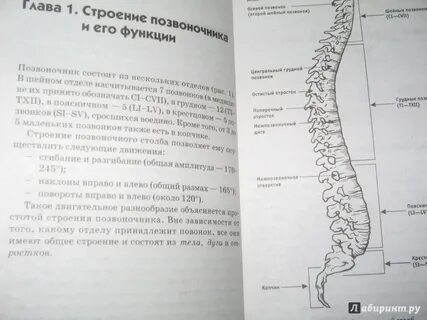 Клинические рекомендации позвоночник
