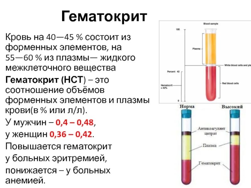 Гематокрит повышен у ребенка. Соотношение плазмы и форменных элементов. Соотношение плазмы и форменных элементов крови. Гематокрит – это соотношение объемов плазмы и:. Гематокрит крови 0.4.