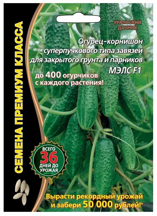 Фирма семян уральский дачник. Овощей уральских. Сайт интернет магазина семян уральский дачник. Семена огурцов премиум класса. Семена почтой седек.