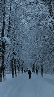 Таково снег