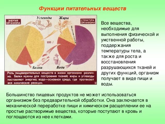 Питательные вещества. Питательные вещества для организма. Функции питательных веществ. Основные питательные вещества. Выберите биогенные вещества