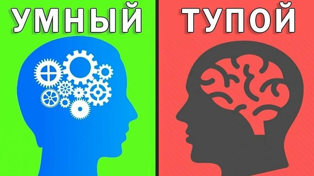 Глупый мозг. Мозг умного и глупого человека. Мозг умного человека и тупого.