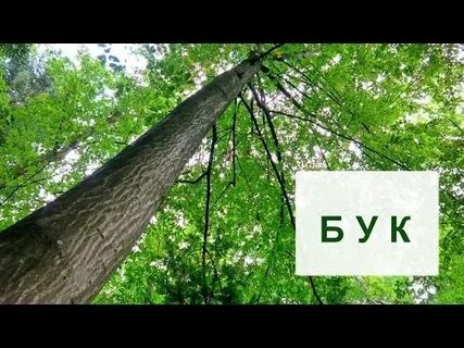 Видео бук