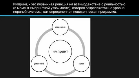 Импринт это