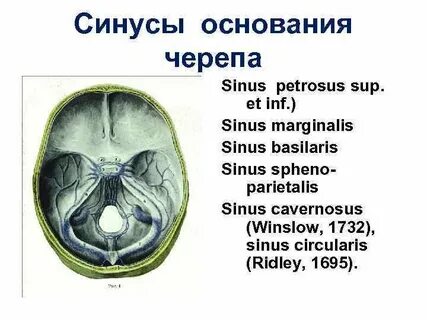 Отсутствие стока синусов