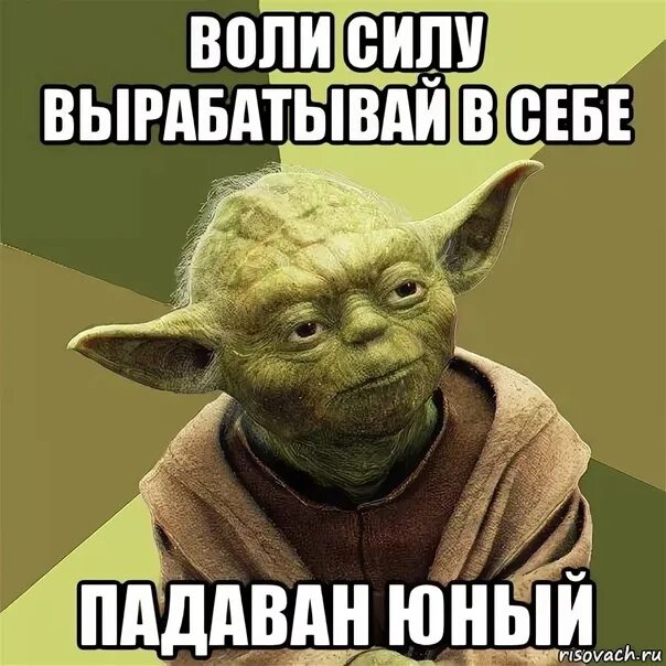 Йода мем. Йода Юный падаван. Йода Мем Юный падаван. Юный падаван мемы. Сила воли Юный падаван Мем.