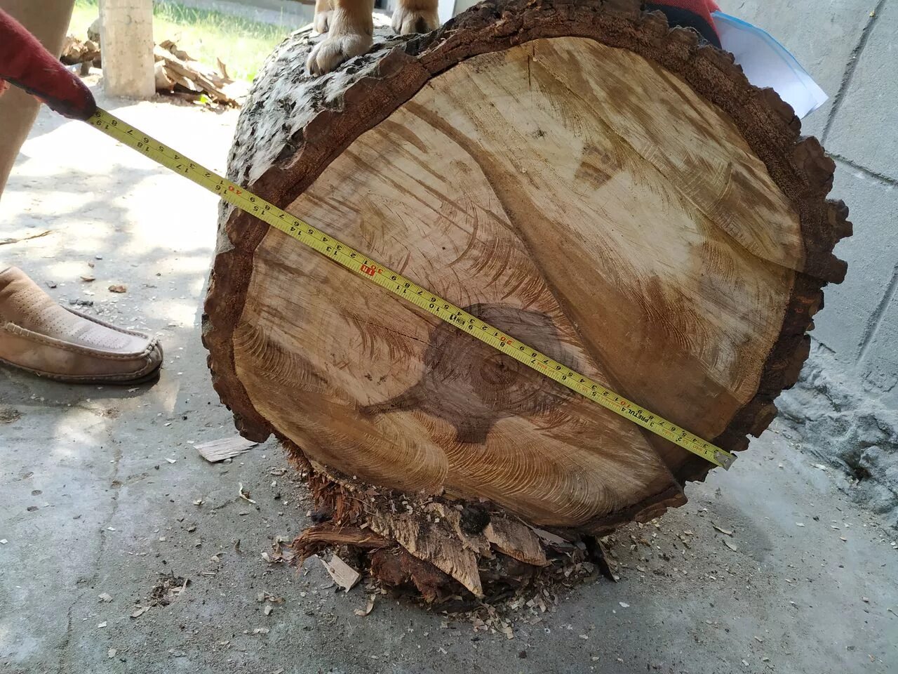 Wood, Walnut wood, Wood grain