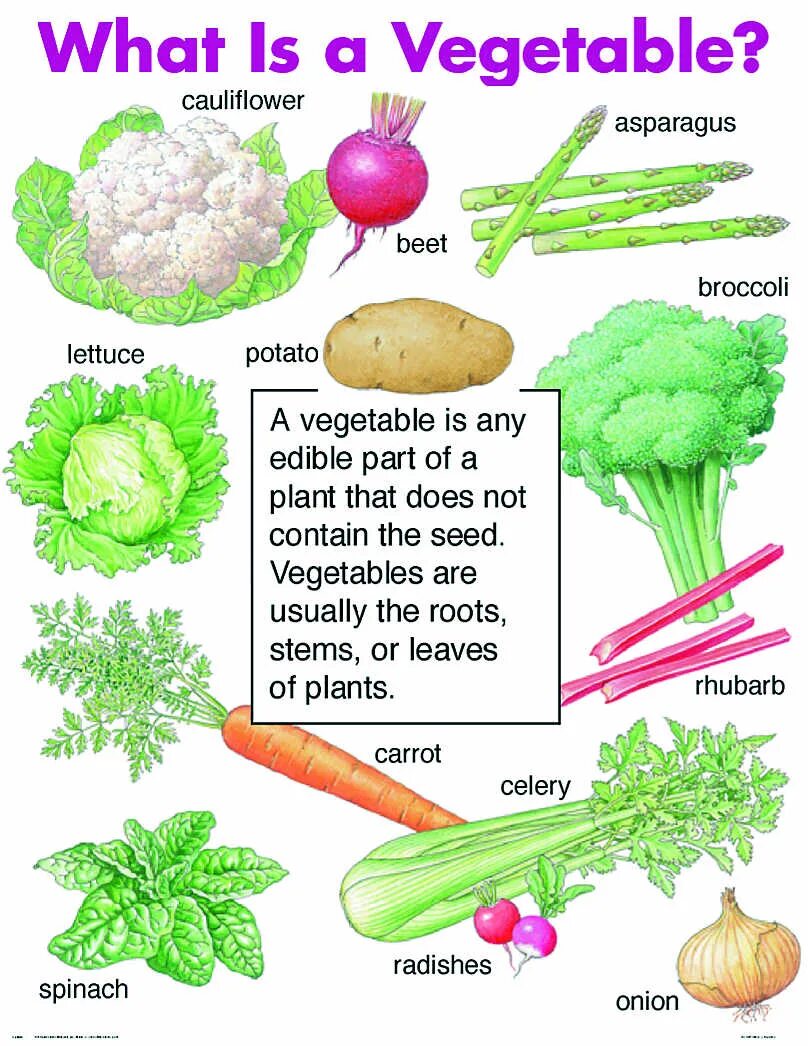 Vegetables предложение. Parts of Vegetables. Вегетаблес. An Potatoes is a Vegetable или Potatoes is a Vegetable. Vegetables are.