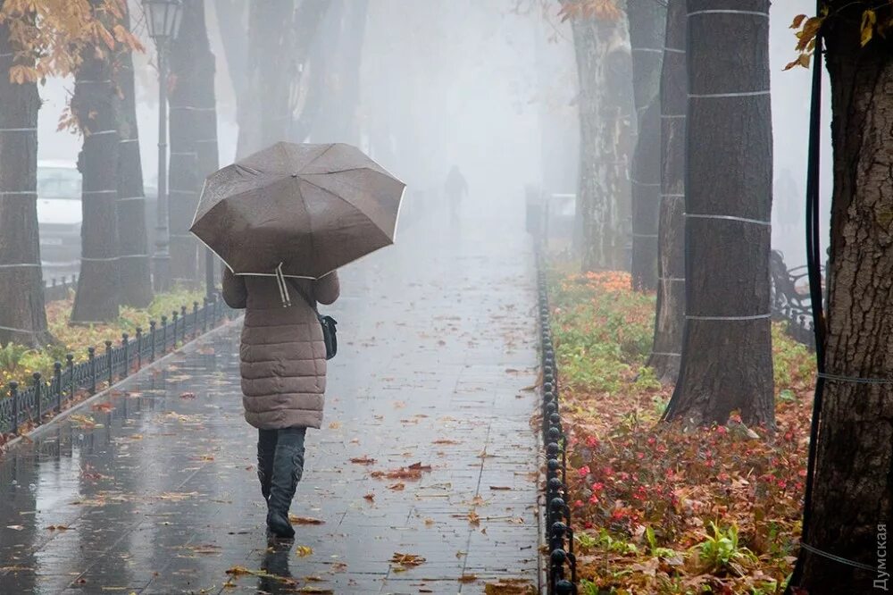 Известно что в дождливые дни. Пасмурный дождливый день. Осень дождь. Дождливый осенний день. Пасмурный осенний день.