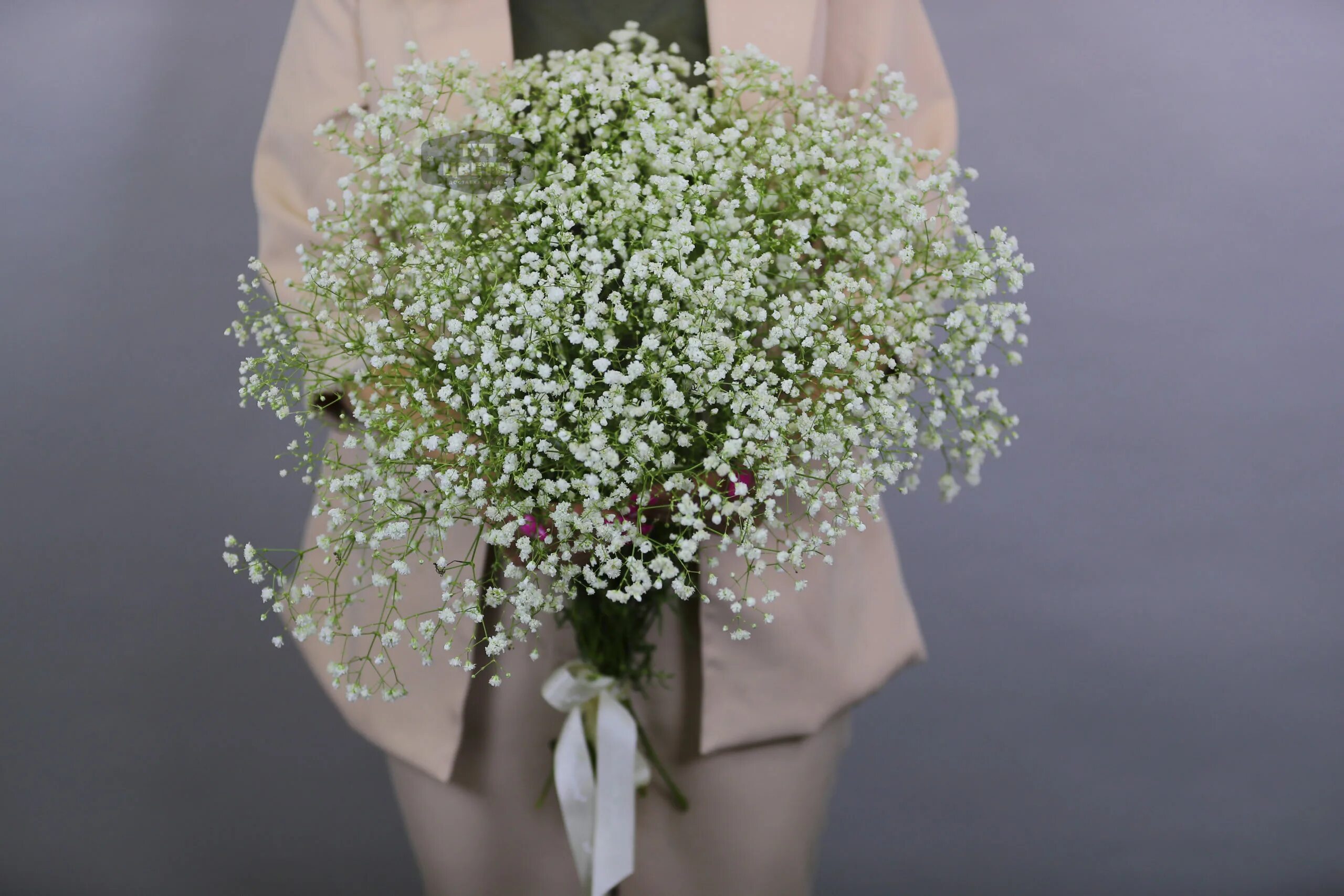 Гипсофила рейнбоу букет. Букет гипсофилы. Гипсофила галактика. Гипсофилы фото букетов. Гипсофилы фото букетов.