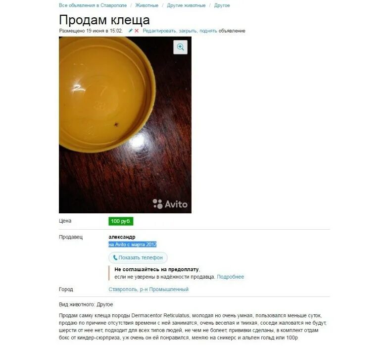 Продам другому