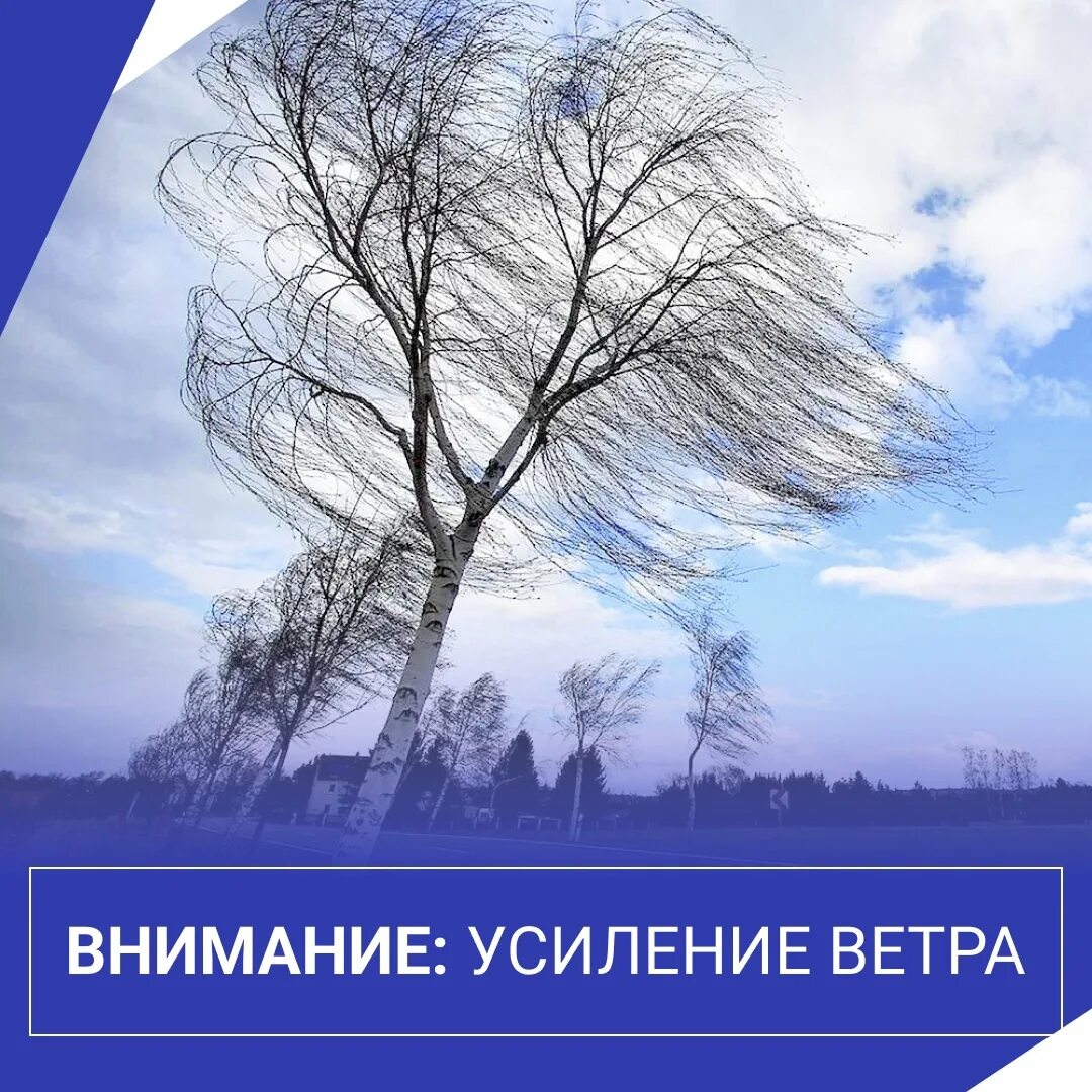 Ветер усилился предложение. Внимание усиление ветра. Внимание сильный ветер. Внимание усиление порывы ветра. Порывы ветра 15 м/с.