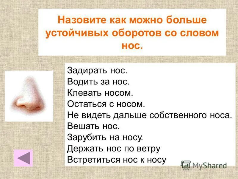 в. фразеологизмы из профессиональной сферы. происхождение слова нос. текст русской носы. носа носа текст.