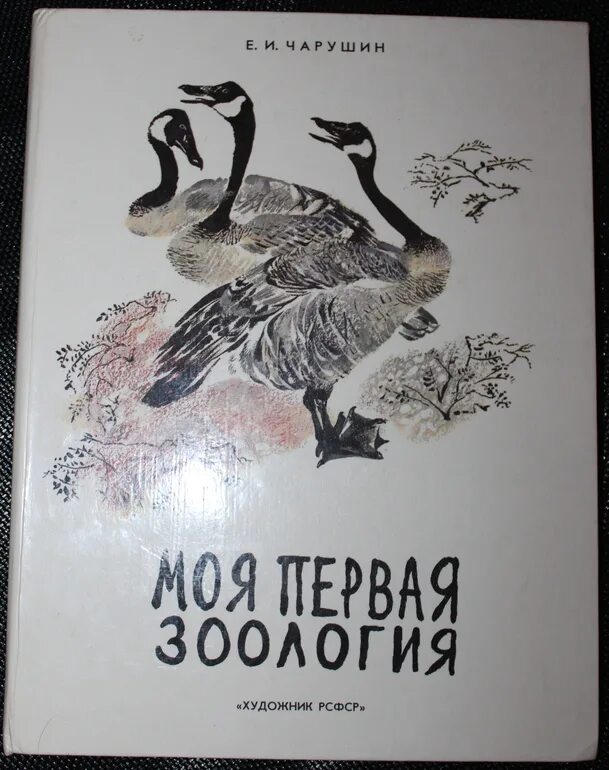 Чарушин моя первая зоология. Моя первая зоология про птиц. Книга моя первая зоология чарушин. Сказки про птиц для детей. Чарушин моя первая зоология.