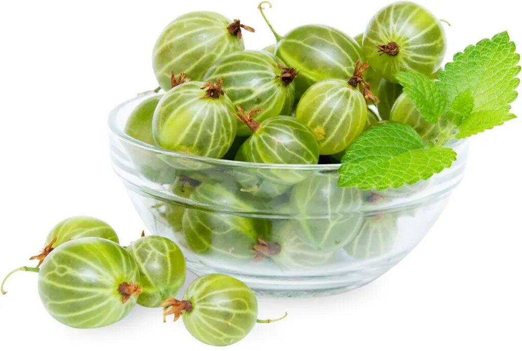 Крыжовник на англ Gooseberries. Крыжовник для детей. Крыжовник на белом фоне. Прозрачный крыжовник. Крыжовник купить ягоды