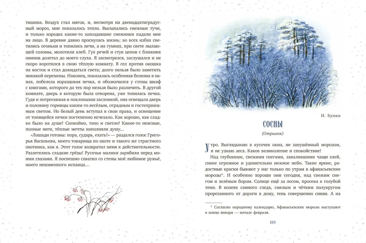 какие травы зеленеют под снегом зимой. снег. над свежим снегом и зеленым бором. над свежим снегом и зеленым бором. растения зимой.