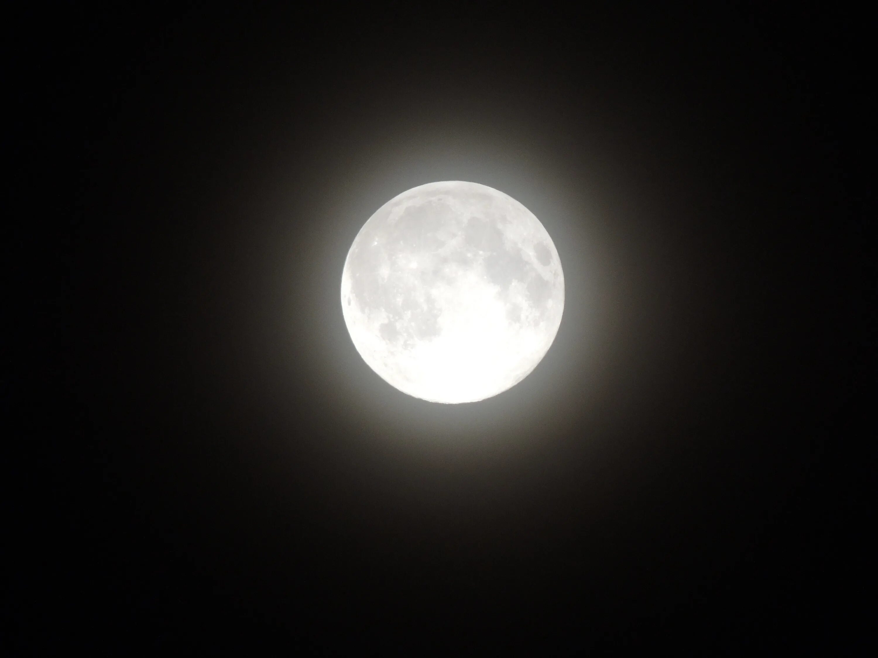 Полная Луна. Фото Луны. Луна полнолуние. Большая Луна на небе.