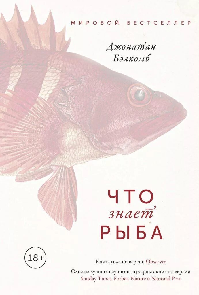 Что знает рыба Джонатан Бэлкомб. Что знает рыба книга. Книги про рыб. Научно популярные книги о рыбах. Рыба книги купить