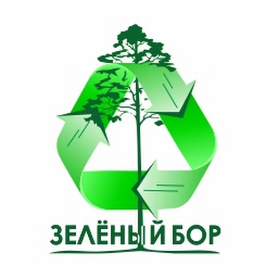 Зеленый бор часы работы. Зеленый бор боровое. зеленый бор санаторий. санаторий зеленый бор боровое. логотип зеленый бор.