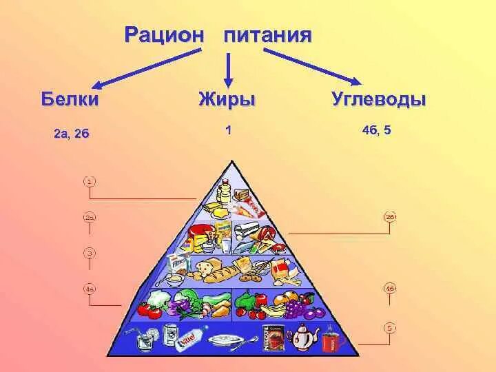 Рацион питания белки жиры углеводы. Правильное питание белки жиры углеводы. Основы здорового питания углеводы. Рациональное питание белки жиры углеводы. Питание белки жиры углеводы витамины