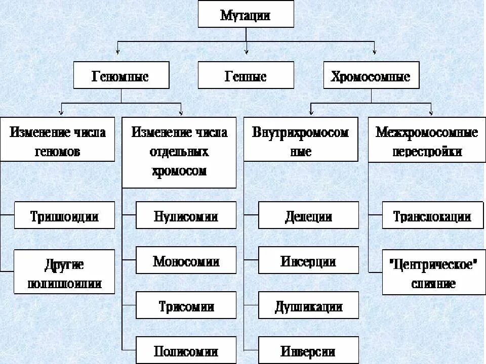 Какие виды мутации