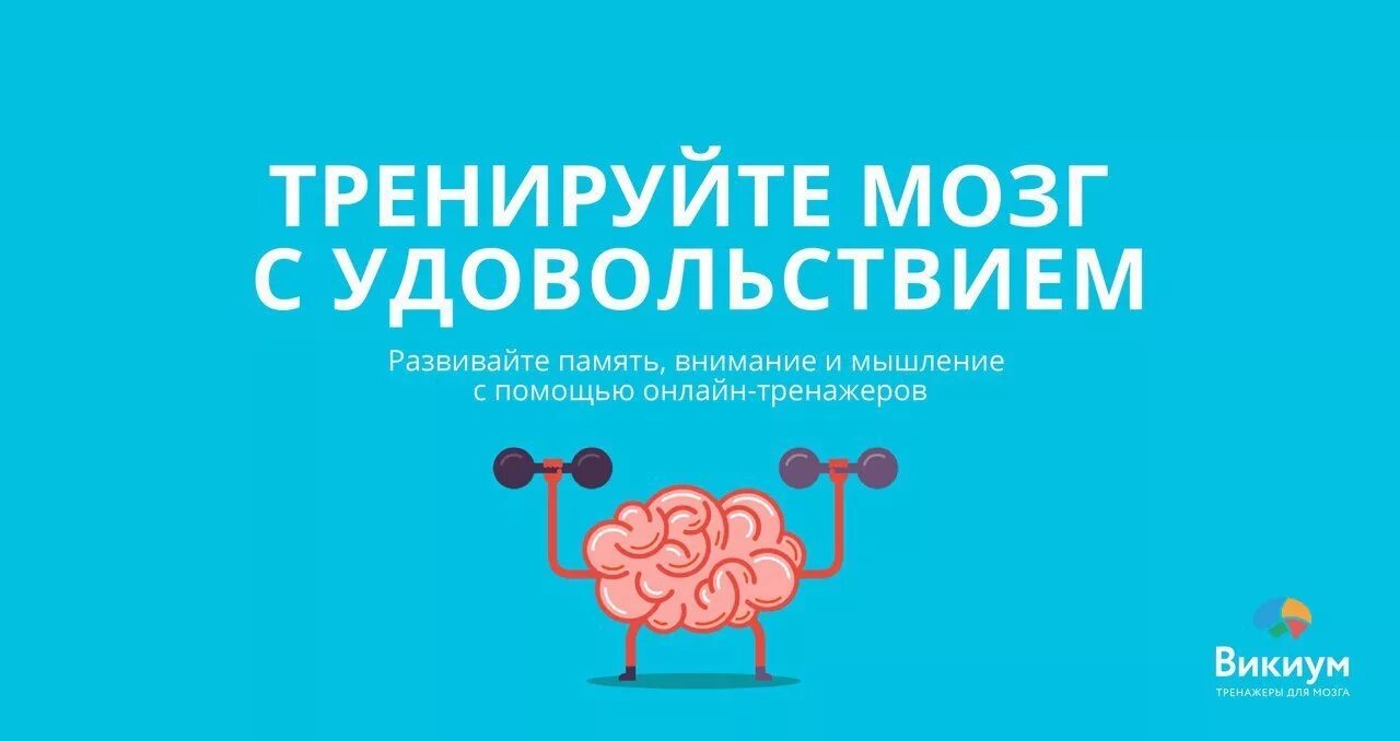 Тренажер для мозга. Тренировка мозга. Тренируйте мозг. Тренажеры для развития мозга и мышления.