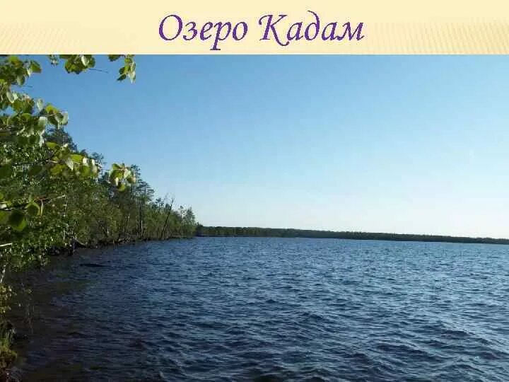 Озеро дон ты усть-куломский район. Када озеро. Усть кулом озеро кадам. Озеро кадам фото. Озеро кадам республика коми.