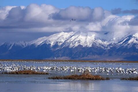 Salt lake