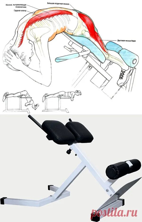 Разгибание поясницы. Гиперэкстензия тренажер техника. Гиперэкстензия техника упражнения для спины. Гиперэкстензия мышцы агонисты. Гиперэкстензия тренажер техника выполнения для мышц спины.