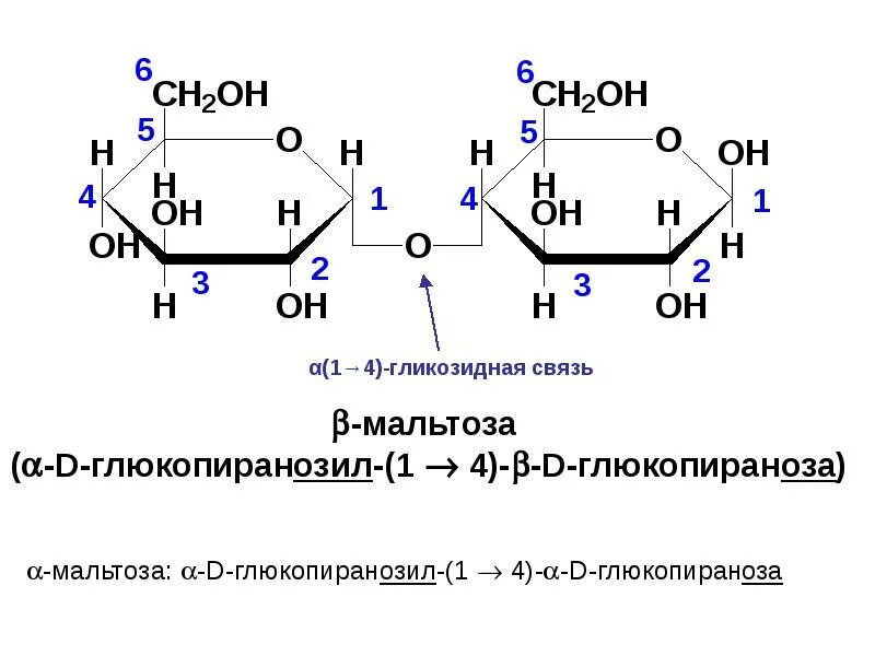 Связь 4 гликозидная. Альфа 1 2 гликозидная связь. Альфа 1 4 гликозидная связь. Бета 1 4 гликозидная связь. Бета 1 3 гликозидная связь.