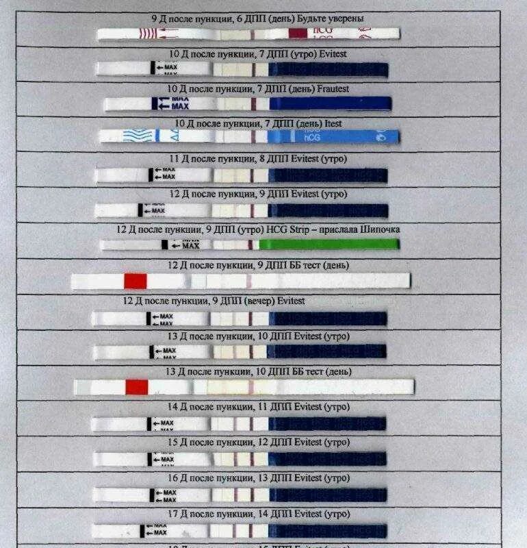 Тест на беременность 5 дней после подсадки. Тесты на беременность на 5 ДПП эмбрионов. Тест на беременность 10 день после эко. Тест на беременность после подсадки эмбрионов 5 дневок. Признаки после переноса