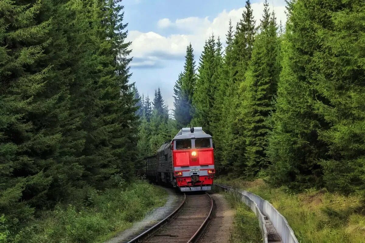 Едем поездом 10 часов. Тепловоз 2тэ116уд. Поезд в лесу. Едем на поезде. Поезд.