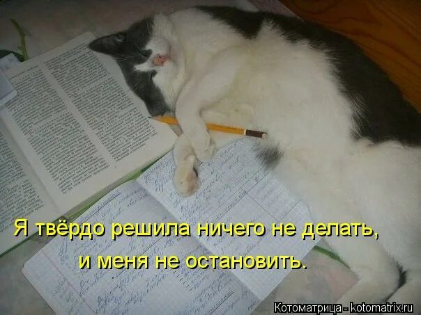 Всемирный день сновидений. Засыпайте с миром. Хочешь жрать жри яблоко не хочешь яблоко не хочешь. Высказывания про кровать. Решила по дому мужскую работу сделать сама.