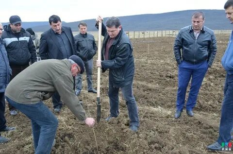 Погода в каранай буйнакском районе