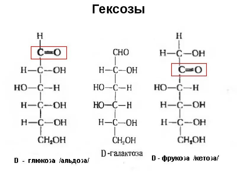 Глюкоза галактоза. Строение глюкозы, маннозы, галактозы, фруктозы. Галактоза линейная формула. Глюкоза манноза галактоза. Глюкоза галактоза.
