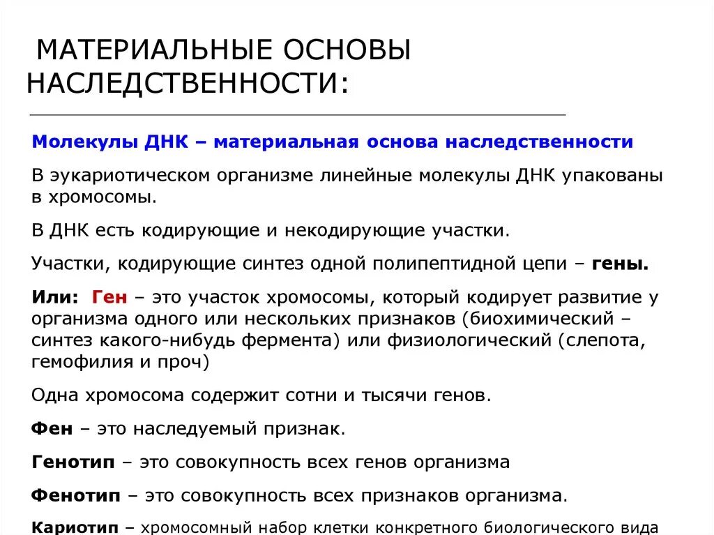 Днк наследственные признаки. Материальные основы наследственности микроорганизмов микробиология. Материальные основы наследственности. Наследственность ее материальные основы. Что является материальной основой наследственности.