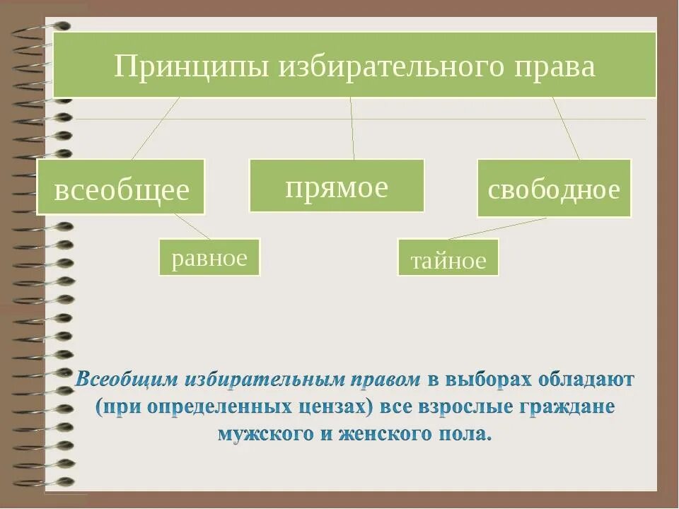Избирательное право виды. Выборы в рф прямые равные