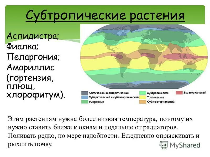 Какие почвы в субтропиках